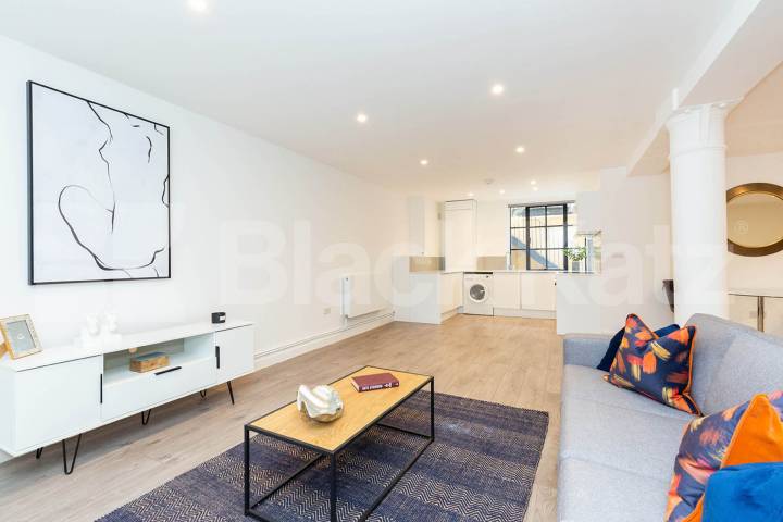 Refurbished studio within one of Dalston's iconic warehouse conversion  Springfield House lofts - Tyssen Street, Dalston